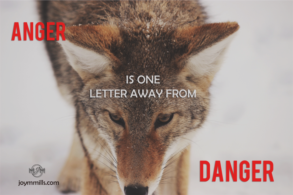 Anger is one letter away..wolf~anger